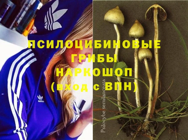 амфетамин Богородицк